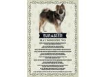 Vianmo Insegna In Legno 18X12 Cm Tiere Eurasier Hausordnung Hunde
