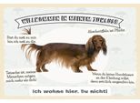 Vianmo Insegna In Legno 12X18 Cm Tiere Hund Ich Wohne Hier Du Nicht
