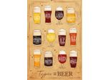 Vianmo Insegna In Legno 30X20 Cm Types Of Beer Bier Sorten