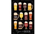 Vianmo Insegna In Legno 30X20 Cm Types Of Beer Bier Sorte