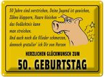 Vianmo Insegna Di Latta 30X40 Cm GlüCkwunsch Zum 50.Geburtstag