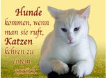Vianmo Insegna In Legno 30X40 Cm Hunde Kommen Katzen Kehren ZurüCk