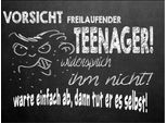 Vianmo Insegna In Legno 30X40 Cm Vorsicht Freilaufender Teenager