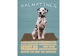 Vianmo Insegna In Legno 40X30 Cm Dalmatiner Hund Energisch Aktiv