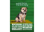 Vianmo Insegna In Legno 40X30 Cm Border Terrier Hund Wachsam