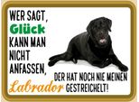Vianmo Insegna In Legno 30X40 Cm GlüCk Nicht Anfassen Labrador