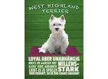 Vianmo Insegna In Legno 40X30 Cm West Highland Terrier Hund Stark