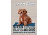 Vianmo Insegna In Legno 40X30 Cm Cavapoo Hund SüSs Freundlich