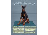 Vianmo Insegna In Legno 40X30 Cm Dobermann Lernt Schnell Hund