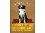 Vianmo Insegna In Legno 40X30 Cm Sprollie Hund Intelligent Loyal