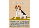 Vianmo Insegna In Legno 40X30 Cm Beagle Hund GutmüTig Liebt Jeden