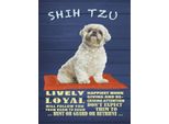 Vianmo Insegna In Legno 40X30 Cm Shih Tzu Hund Lively Loyal
