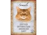 Vianmo Insegna In Legno 40X30 Cm Somali Katze