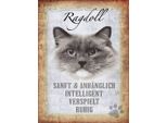 Vianmo Insegna In Legno 40X30 Cm Ragdoll Katze Sanft