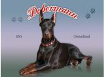 Vianmo Insegna In Legno 30X40 Cm Hund Dobermann 1850 Deutschland