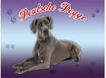 Vianmo Insegna In Legno 30X40 Cm Hund Deutsche Dogge 1888