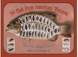 Vianmo Insegna In Legno 30X40 Cm Fisch 39 Fish From American Waters