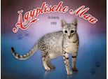 Vianmo Insegna In Legno 30X40 Cm Katze ÄGyptische Mau Schweiz 1988
