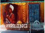 Vianmo Insegna In Legno 30X40 Cm Havanna Feeling Frau Mit Zigarre