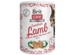 Brit Care Cat Snack Superfruits - Agnello 100G