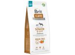 Brit Care Grain Free Senior & Light Salmone 12 Kg