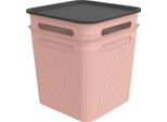 Rotho Set 2X 18L Brisen Box Con Coperchio - Rosa