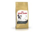 Royal Canin Feline Breed Gatto Delle Foreste Norvegesi 2Kg