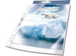 Durable Busta Perforata Premium A4 In Pp Busta 50 Pezzi, 50 Pezzi, Trasparente, 268219