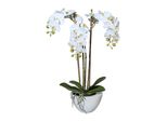 Pianta Artificiale Di Miniphalaenopsis Da 51 Cm In Elegante Ciotola Di Ceramica - Real Touch Orchid