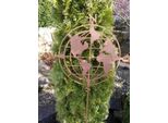 Mappamondo Con Tappo Da Giardino In Acciaio Inox