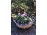 Ciotola Decorativa Shabby Chic Mireille Ciotola Decorativa Shabby Mireille - Diametro 37 Cm
