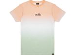 Ellesse Magliette Primavera, SGN15197940, Taglia: 164