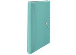 Esselte 626252 Cartella Per Progetti Esselte Colour'ice, A4, Pp, 6 Scomparti, Blu