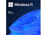 Microsoft Windows 11 Pro - Scaricamento Elettronico Del Software (Esd) - 1 Licenza(E) - Multilingue | Consegna Via E-Mail