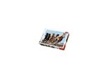Trefl Puzzle Galoppierende Pferde, 1000 Teile, 68.3 X 48 Cm, 10446