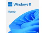Windows 11 Home 64Bit Dsp 1Pk FranzöSisch Dvd