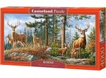 Castorland Puzzle Famiglia Reale Cervi 4000 Teile