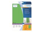 Etichette Per Cartelle A4 Verde 61X297 Mm Carta Opaca 60 Pz.
