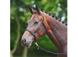 Cavezza Busse - Nero, Taglia:Pony (S)
