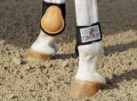 Stivali Eskadron Fetlock Stivali Di Protezione Pony
