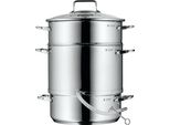 WMF Dampfentsafter Induktion 7,0l, Entsafter mit Glasdeckel 25 cm, Cromargan Edelstahl poliert