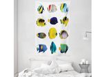 Abakuhaus Arazzo E Copriletto Con Motivi Marini, Collage Di Animali Marini In Morbido Tessuto Microfibra Lavabile Senza Scolorimento Stampa Digitale, 140 X 230 Cm, Multicolore
