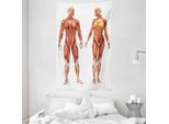 Abakuhaus Arazzo Anatomico E Copriletto, Corpo Umano Maschile In Morbido Tessuto Microfibra Lavabile Senza Scolorimento, Stampa Digitale, 140 X 230 Cm, Rosso Corallo