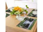 Tovagliette Abakuhaus Con Motivo Cascata, Sogno Come Immagine Della Cascata Con Alberi E Fiori Nella Foresta Madre Natura, Tiscjdeco In Tessuto Resistente Al Colore Per La Sala Da Pranzo E La Cucina, Bianco Verde