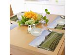 Abakuhaus Tovagliette Da Pranzo, Foto Lunga Della Recinzione Liquida Della Casa Di Campagna Nel Prato Rurale Ranch Pastoral, Tiscjdeco In Tessuto Resistente Al Colore Per La Sala Da Pranzo E La Cucina, Multicolore