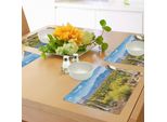 Abakuhaus Tovagliette Cactus, Foto Immagine Paesaggio Desertico Arido Campo Di Cactus Pietre Spine Foglie Opera D'arte, Tiscjdeco In Tessuto Resistente Al Colore Per Sala Da Pranzo E Cucina, Multicolore