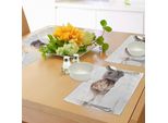 Tovagliette Abakuhaus Con Animali, Due Gattini Scottish Fold Su Sfondo Bianco, Stampa Digitale, Tovaglietta Decorativa In Tessuto Resistente Ai Colori Per La Sala Da Pranzo E La Cucina, Bianco E Grigio