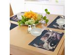 Abakuhaus Tovagliette Raum Katze, Immagine Vintage Astronaut Kitty Con Bandiera Patriottica Animale, Tiscjdeco In Tessuto Resistente Al Lavaggio Per Sala Da Pranzo E Cucina, Blu Scuro, Bianco E Rosso