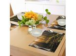 Tovagliette Naturali Abakuhaus, Misty Morning Nella Foresta Con Raggi Di Sole Madre Terra Fogliame Alba Immagine, Tiscjdeco In Tessuto Resistente Al Colore Per La Sala Da Pranzo E La Cucina, Verde Felce Marrone