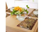 Tovagliette Abakuhaus, Stile Grunge Con Fiver Sawbuck E Century Note Come Motivi Principali, Tiscjdeco In Tessuto Resistente Ai Colori Per La Sala Da Pranzo E La Cucina.